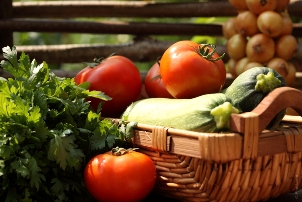 agricoltura biologica