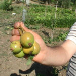 Le pere della Valle del Sinni