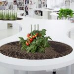 “Cow-Orto. Orto & Coworking”