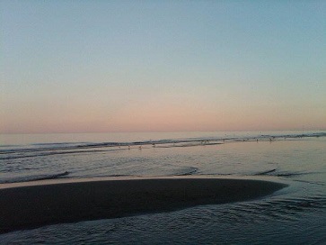mare