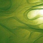 9 dicembre, Roma, Green Finance Day