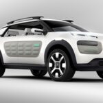 A presto, Cactus! Liberiamoci del superfluo