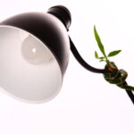 Raccolta di lampadine esauste, la classifica delle regioni più virtuose