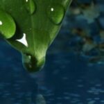 8 maggio, Milano, Green Investor Day