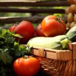 Martina: Agroalimentare strategico