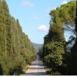 Poesia e natura – Carducci, i cipressi e i richiami