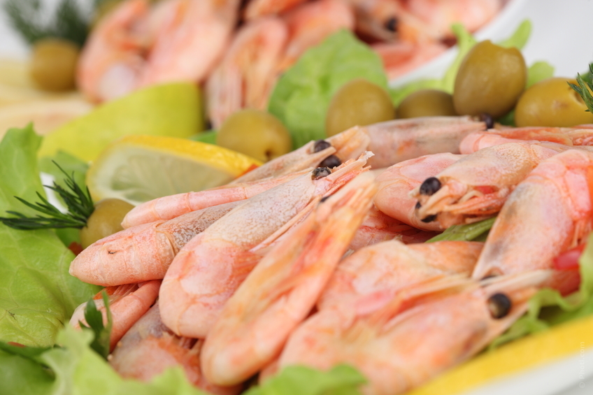 Pesce fresco, finisce il fermo in Adriatico