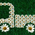 In vigore lo sblocca Italia