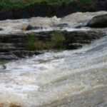La Cassazione sugli ecoreati