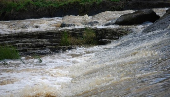 La Cassazione sugli ecoreati