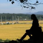 Oltre 200 mila le imprese agricole rosa