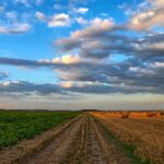 Agricoltura di precisione, ci sarà un tavolo tecnico