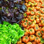 27 - 28 ottobre 2015, Expo, Nutrire il pianeta, nutrirlo in salute - Feeding the Planet in Health
