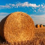 Il Decreto Agricoltura è legge, ok del Senato