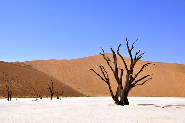 cambiamento climatico