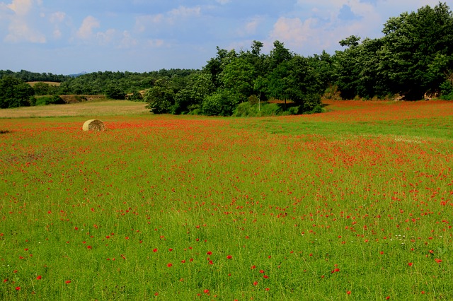 Agricoltura sociale, legge approvata in via definitiva