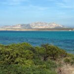 Cinema ecosostenibile all'Isola dell'Asinara