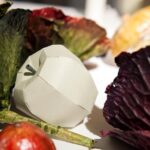 Paper Design: le vite di carta e cartone