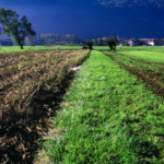 Agricoltura, le novità nella legge di stabilità