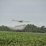 Pesticidi, il rapporto di Greenpeace, minacciato il 24,5% delle specie vulnerabili