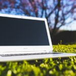 Imprese, il 42% sono green
