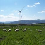 Energia, eolico. Position paper di Anev su strategie e metodi per la riforma del mercato elettrico