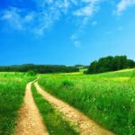 Emilia Romagna. Programma di sviluppo rurale 2014-2020. 115 milioni per l'agricoltura