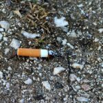 Collegato ambientle, approvato in via definitiva