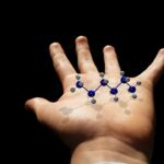 Bioeconomia, in Italia vale oltre 244 miliardi di euro e impiega 1,5 milioni di persone